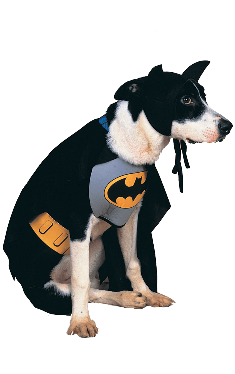 Batman Dog Costume