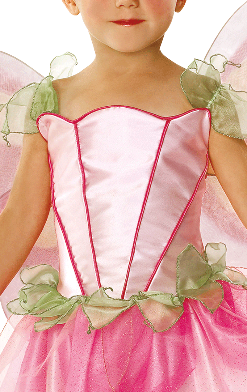 Child Fairy Costume