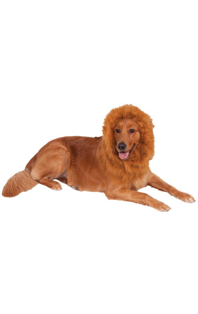 Lion Mane Dog Accessory