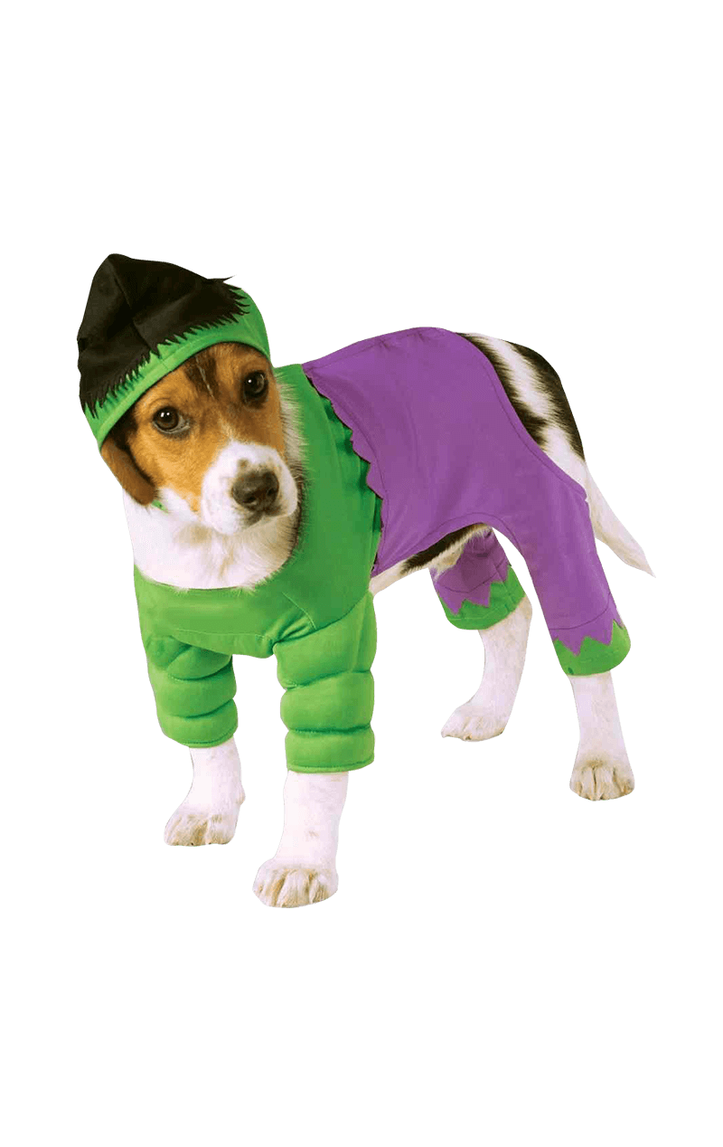 Incredible Hulk Dog Costume