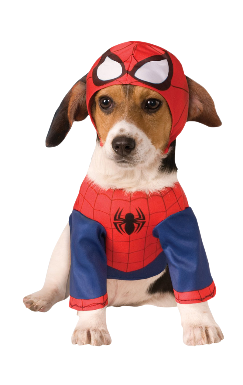 Spider-Man Dog Costume