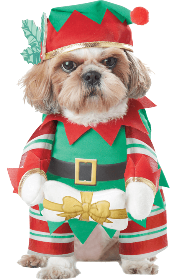 Elf Pup Dog Costume