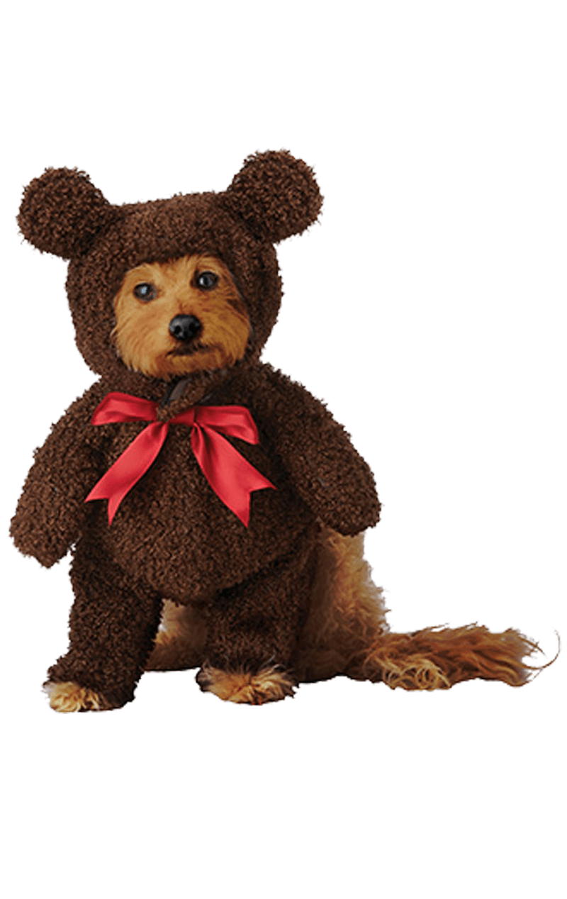 Walking Teddy Bear Dog Costume