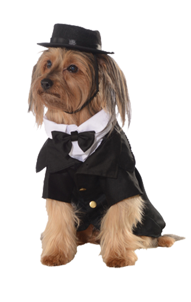 Dapper Dog Costume