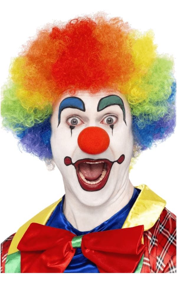 Rainbow Economy Clown Wig