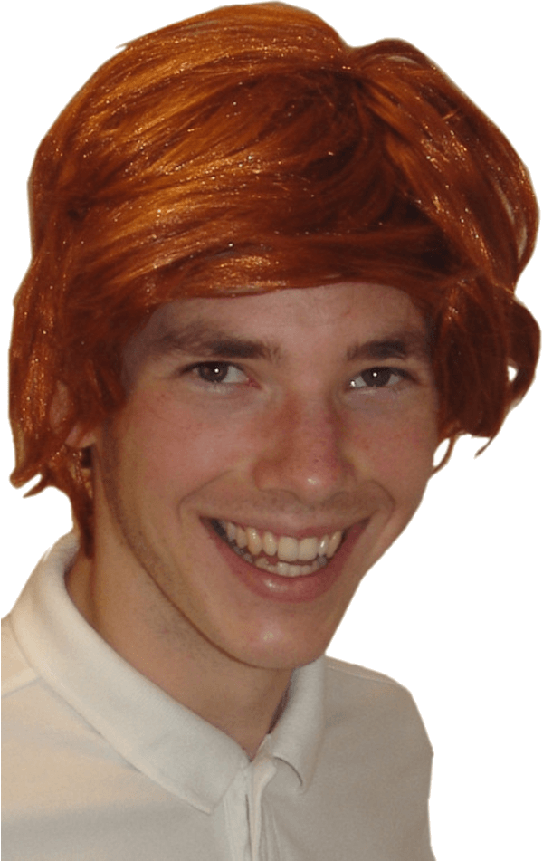 Harry Potter Ron Weasley Wig