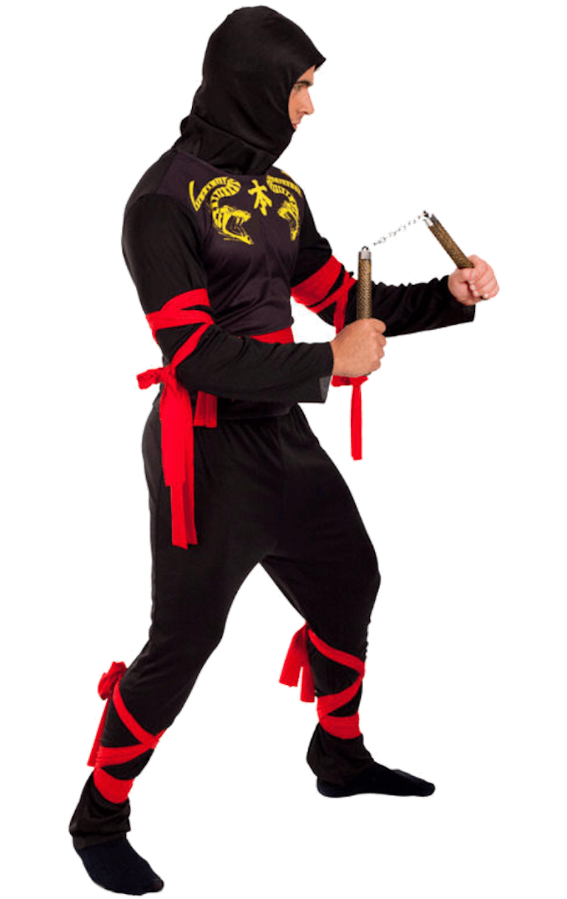 Adult Ninja Dragon Costume