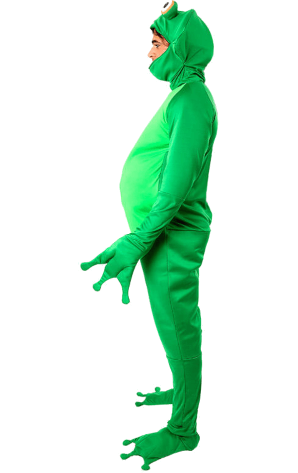 Adult Frog Costume