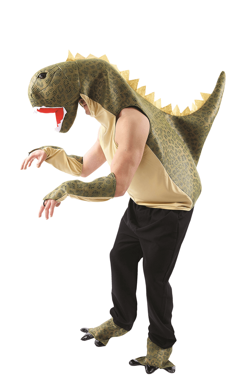 Adult Dinosaur Animal Costume