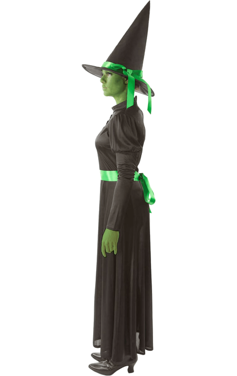 Adult Wicked Witch Halloween Costume