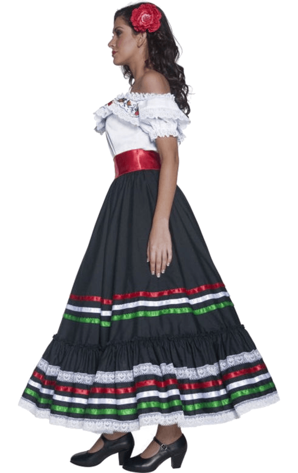 Traditional Mexican Woman Costume