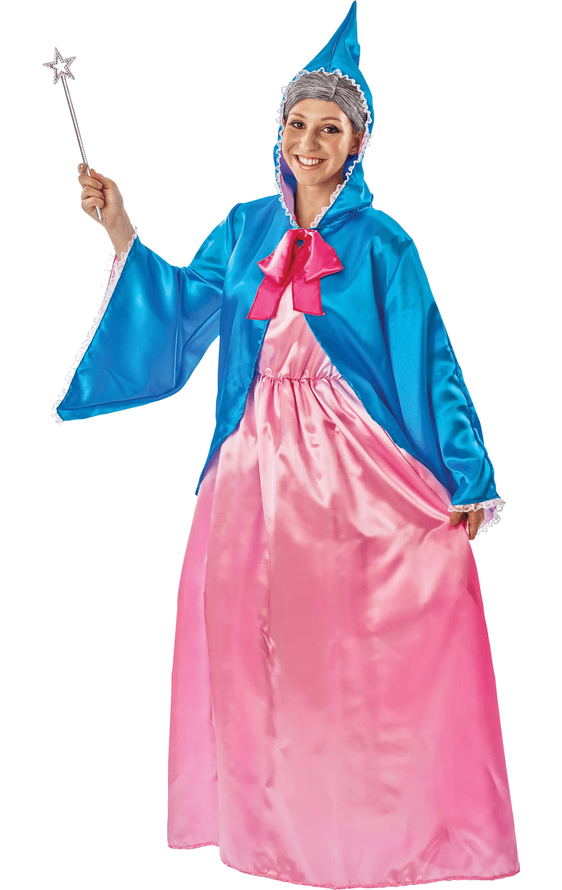 Adult Fairy Godmother Book Day Costume