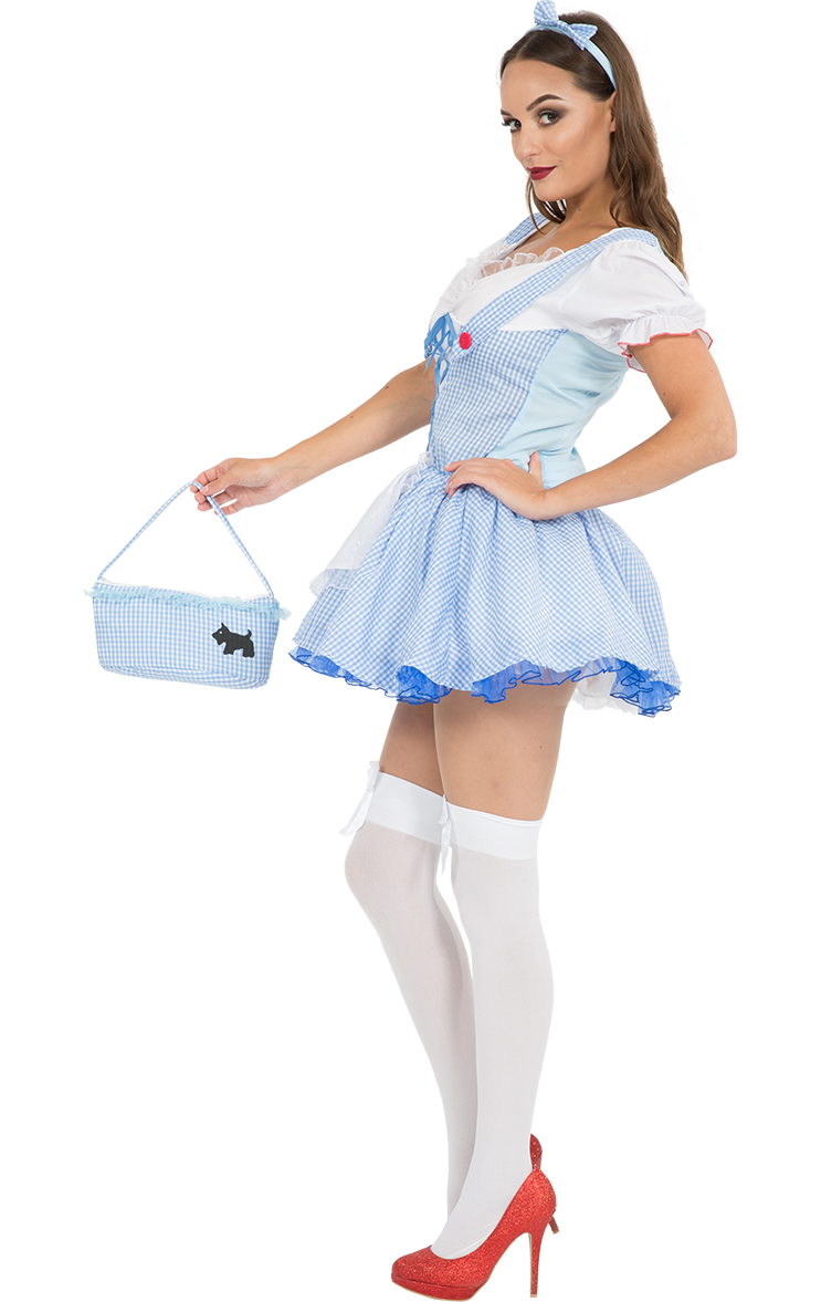 Adult Dorothy Kansas Girl Costume