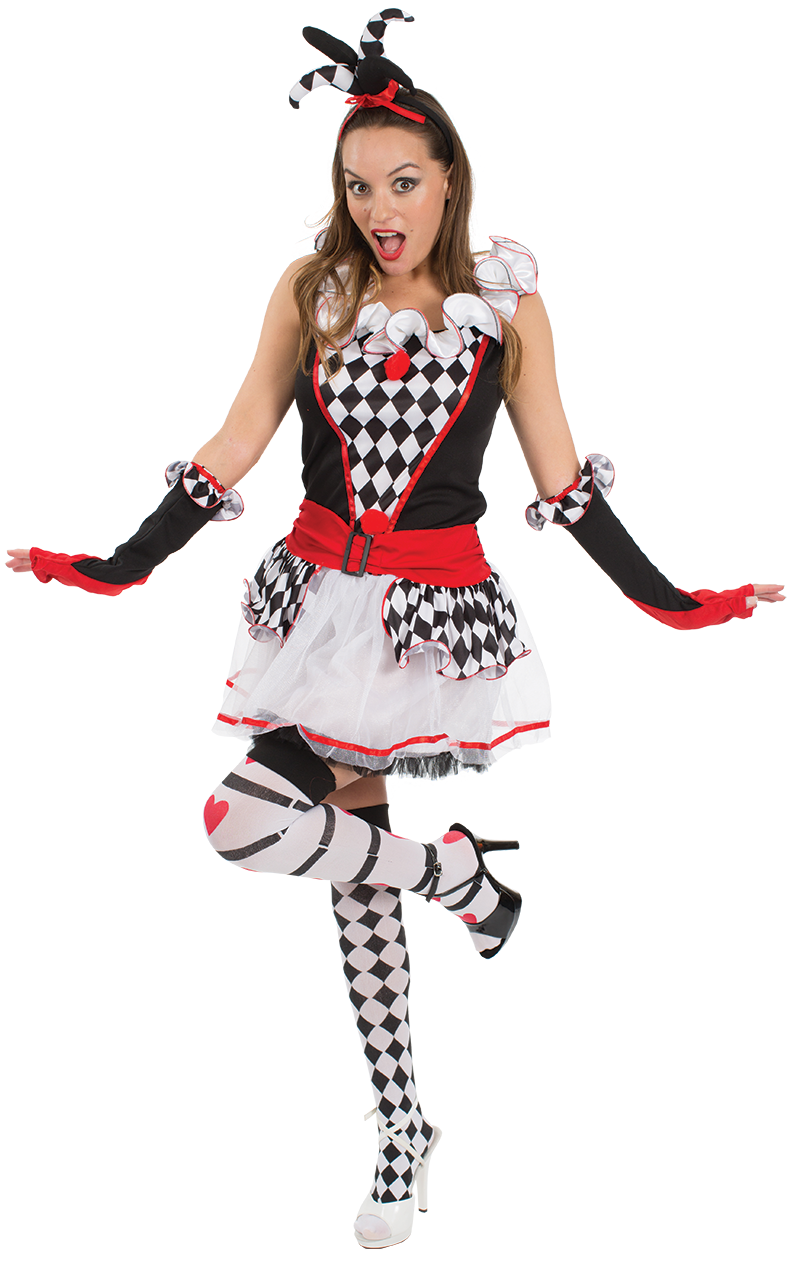 Adult Harlequin Jester Costume