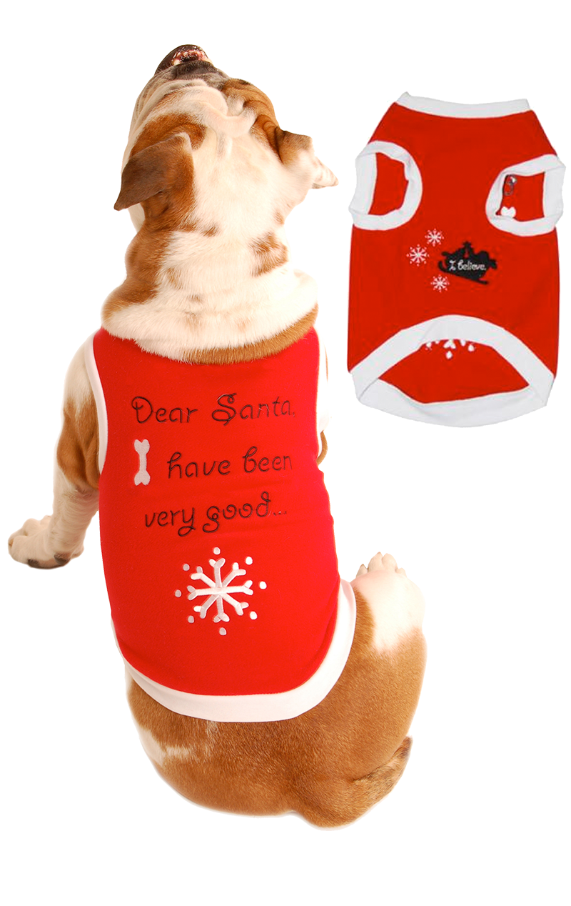 Dear Santa Dog Costume