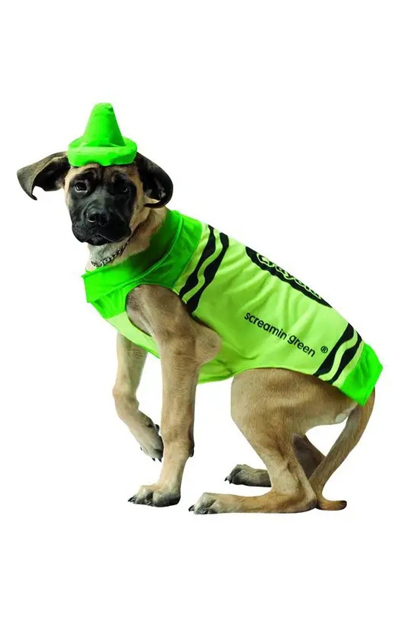 Green Crayola Dog Costume - Joke.co.uk