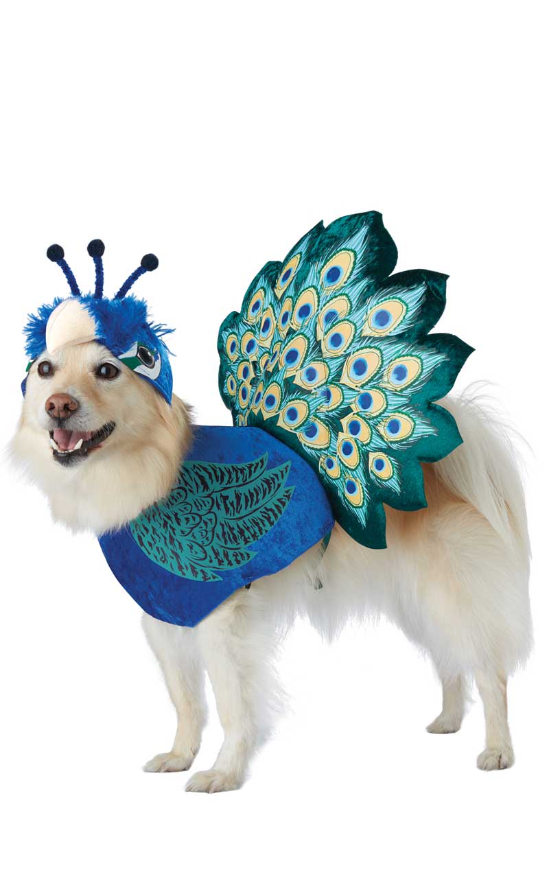 Pretty as a Peacock Dog Costume - Joke.co.uk