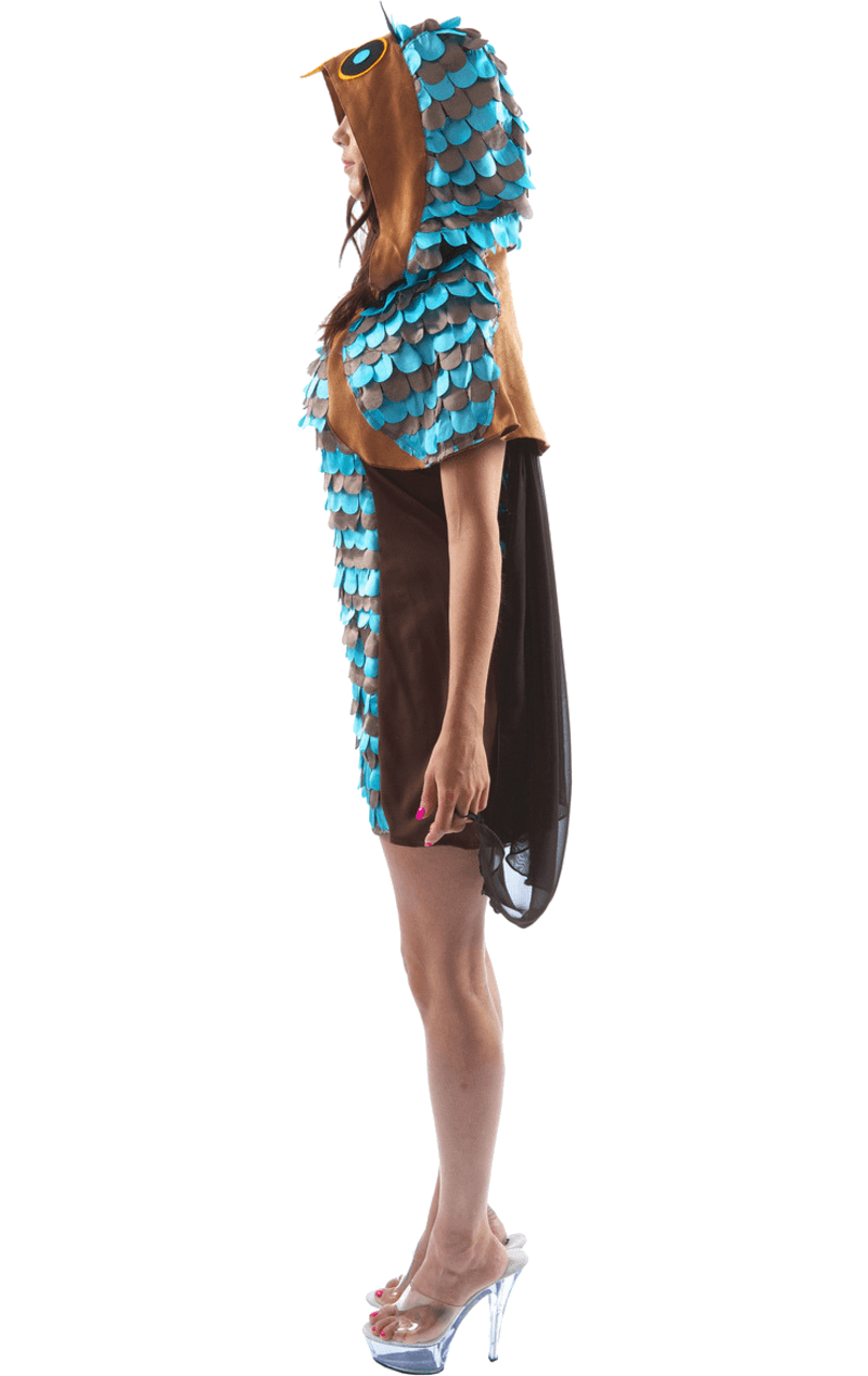 Adult Owl Dress Animal Costume