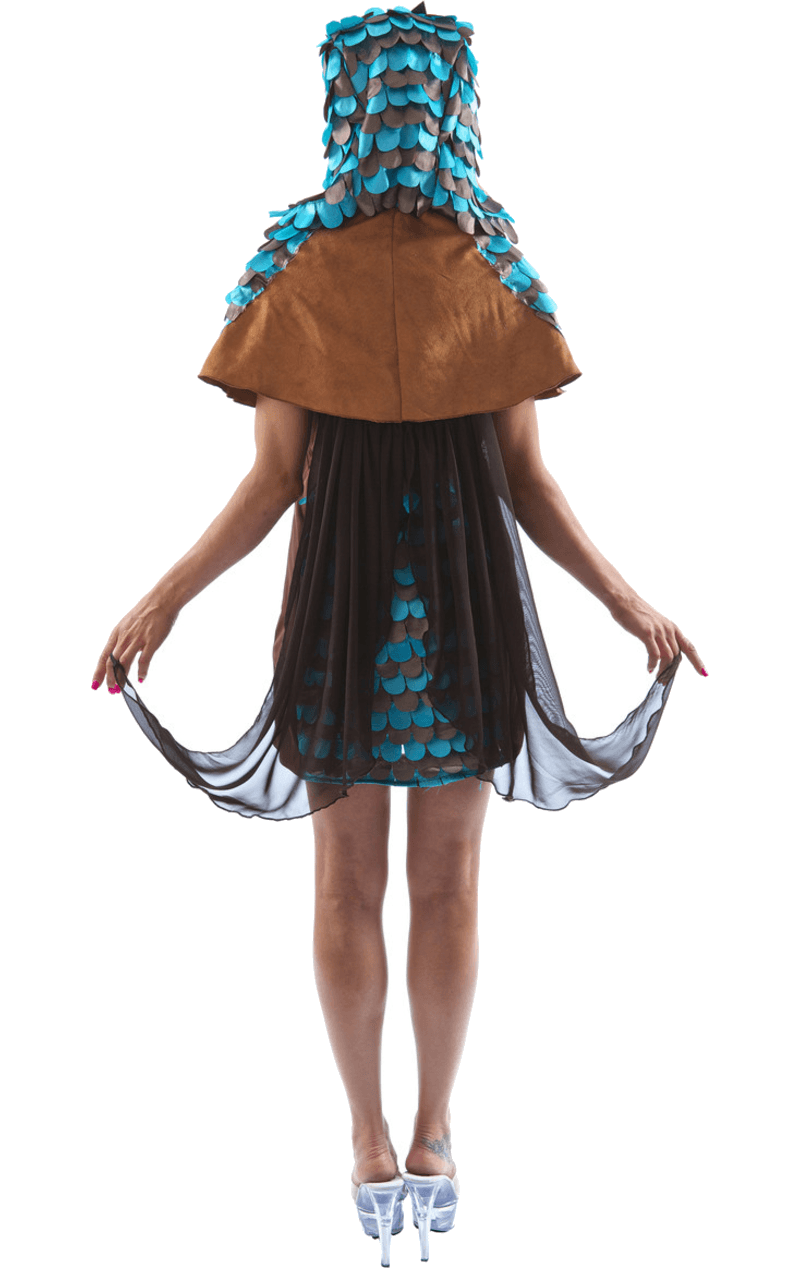 Adult Owl Dress Animal Costume