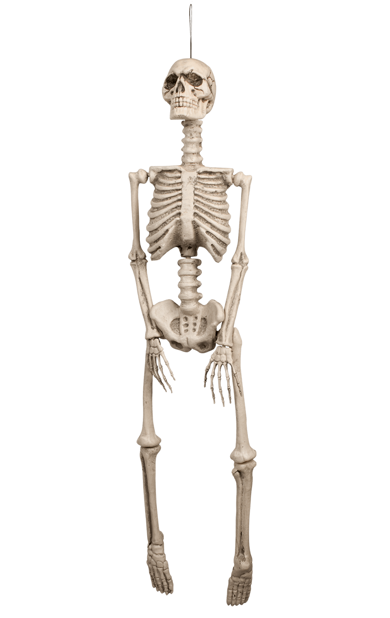 Skeleton Decoration
