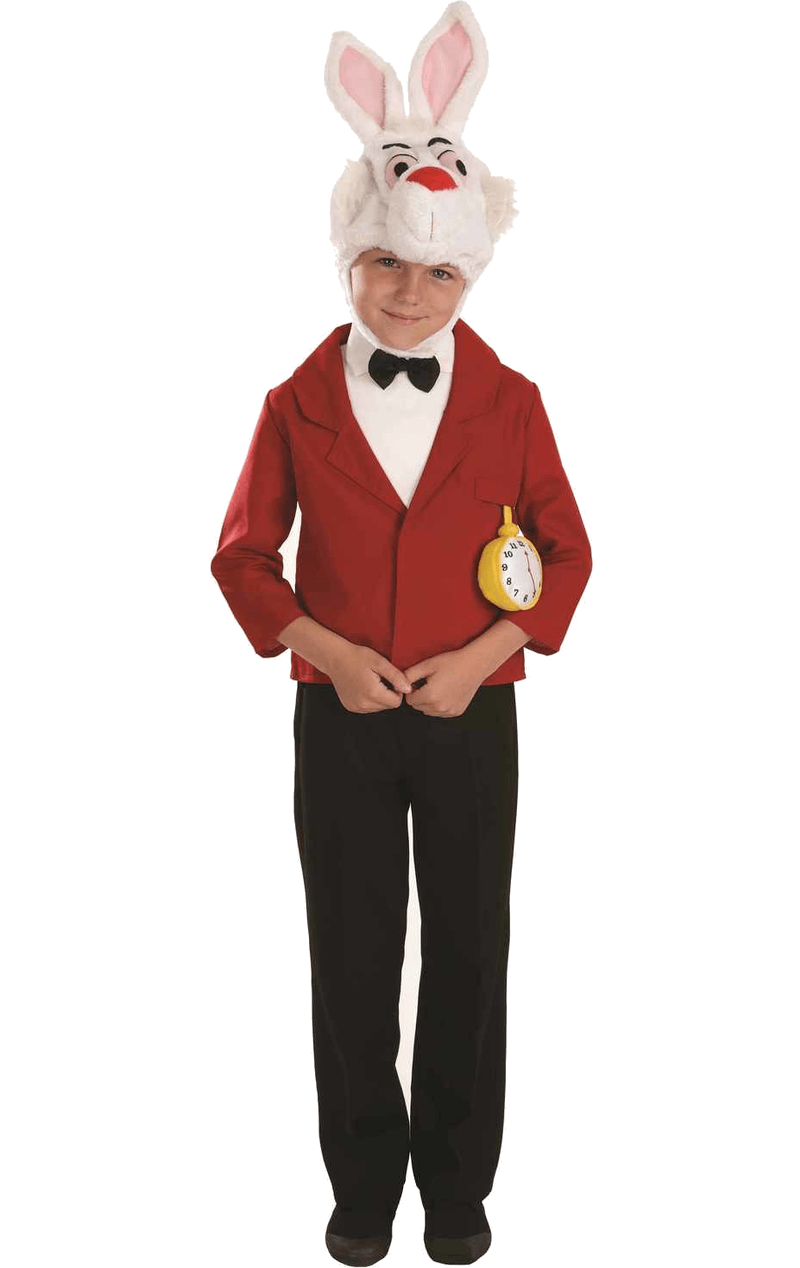 Alice in wonderland fancy dress best sale child
