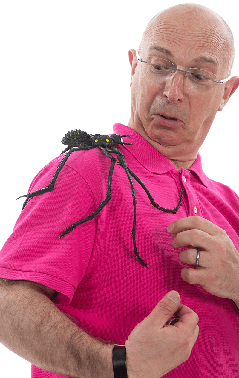 Large Spider Decoration