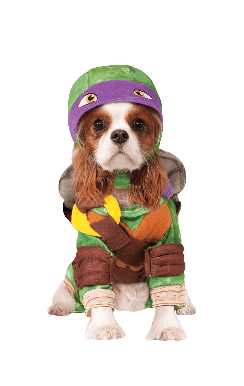 Ninja Turtles Donatello Dog Costume