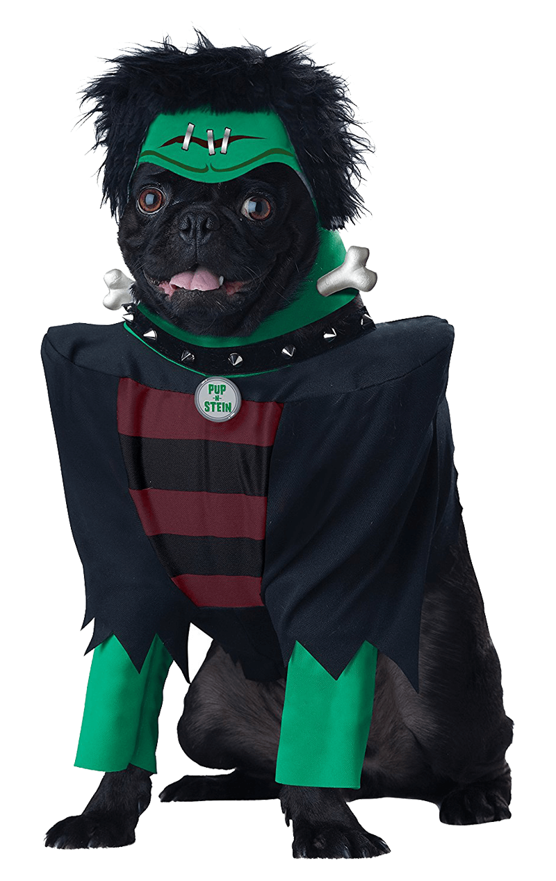Frankenpup Dog Costume