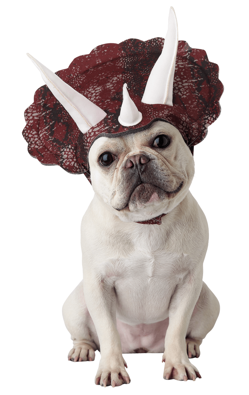 Tricerdog Dog Costume