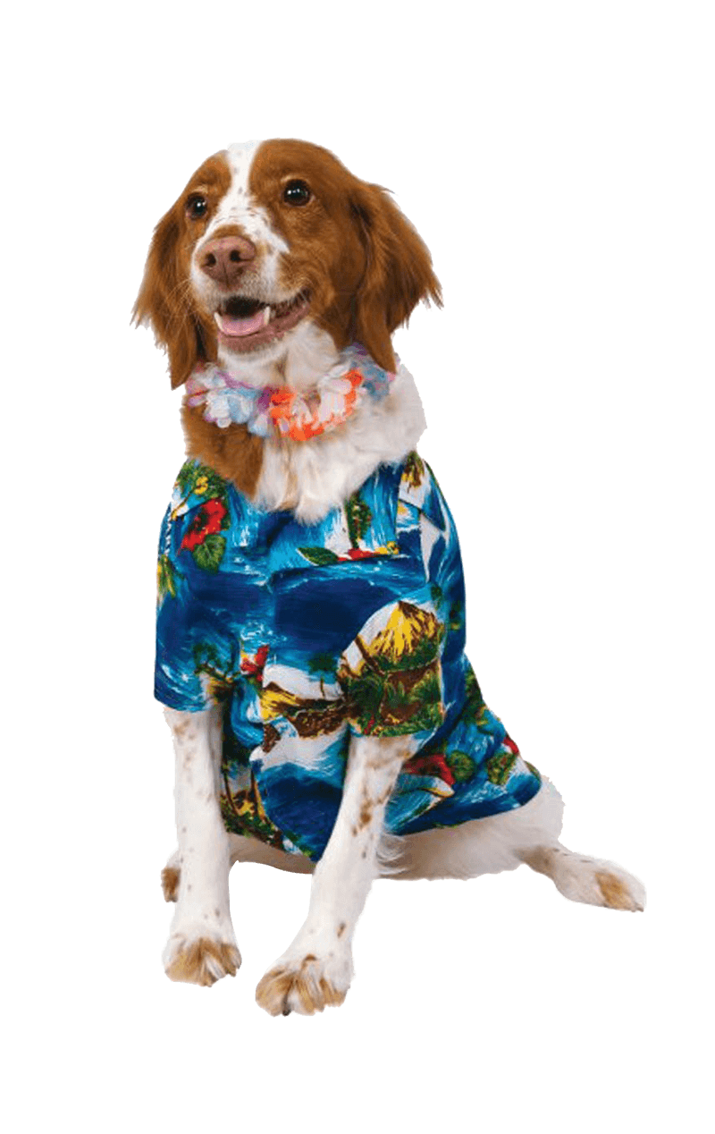 Howliday Hawaiian Dog Costume