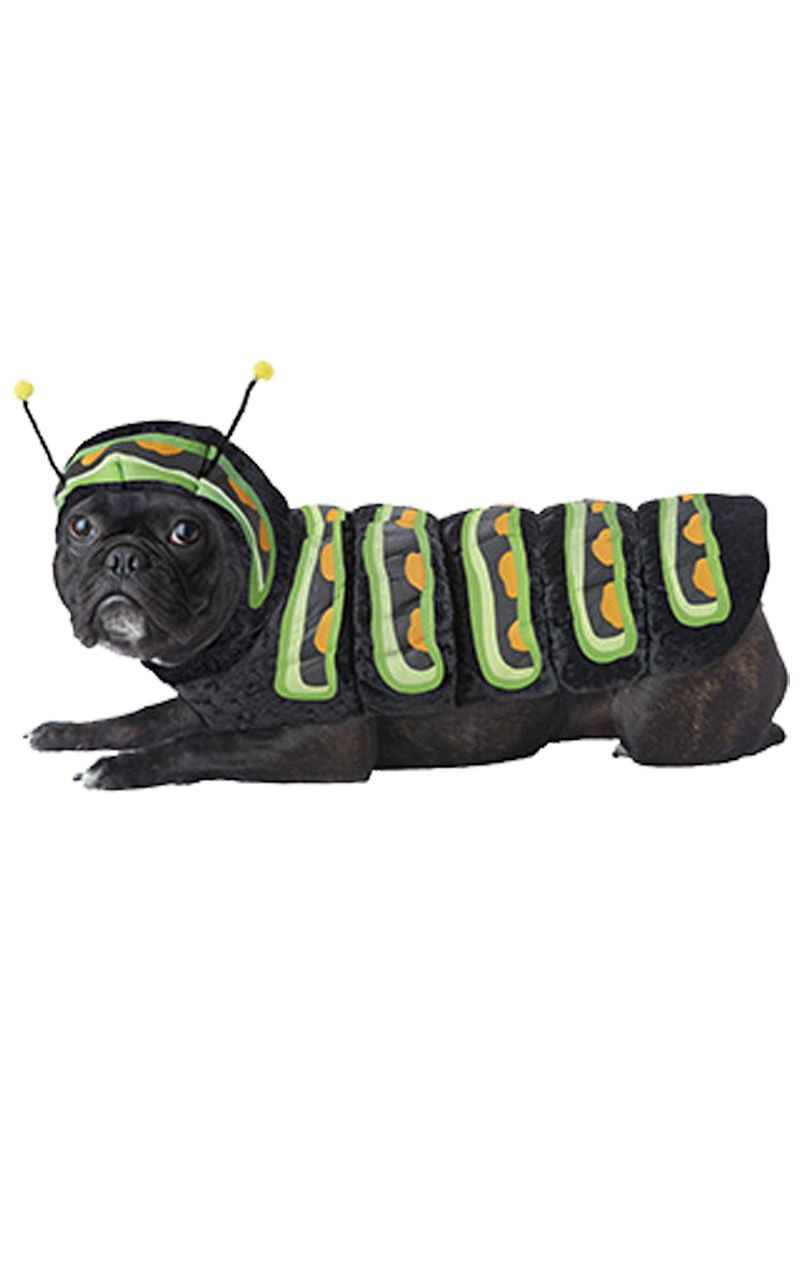 Caterpillar Dog Costume