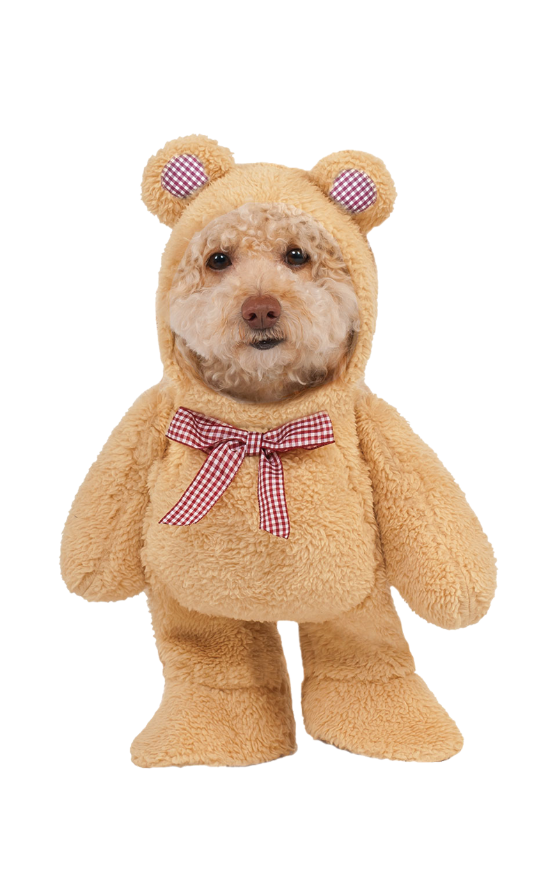 Walking Picnic Teddy Bear Dog Costume