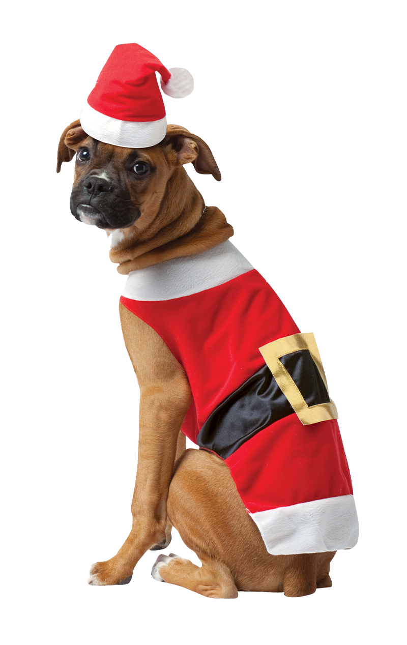 Santa Claws Christmas Dog Costume