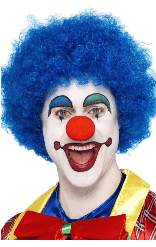 Economy Clown Wig in BLUE
