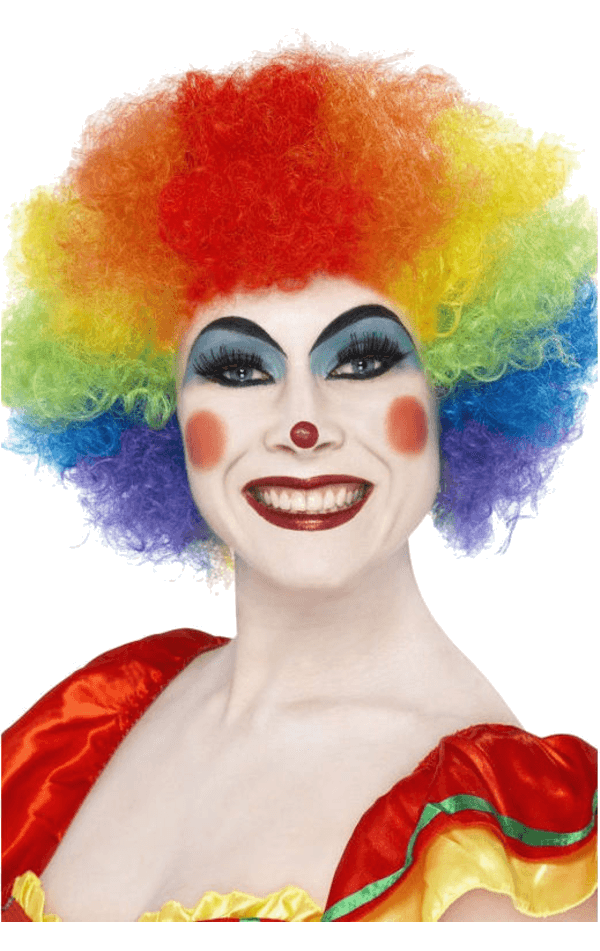 Rainbow Economy Clown Wig