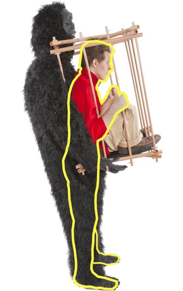 Adult Gorilla and Cage Costume