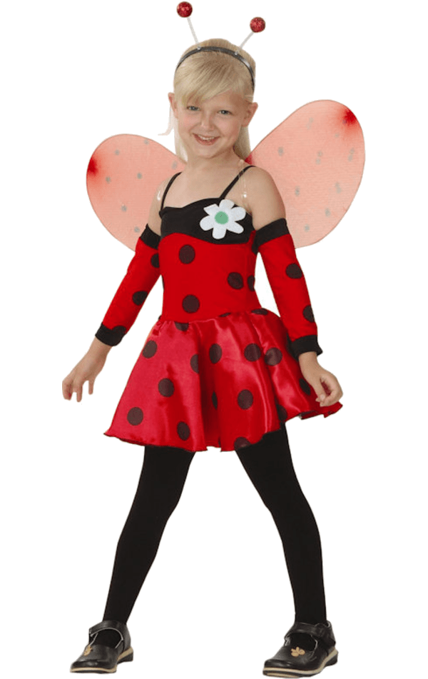 Childrens Ladybird Costume