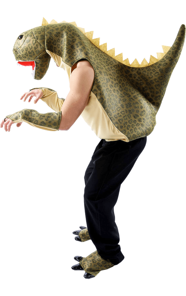 Adult Dinosaur Animal Costume