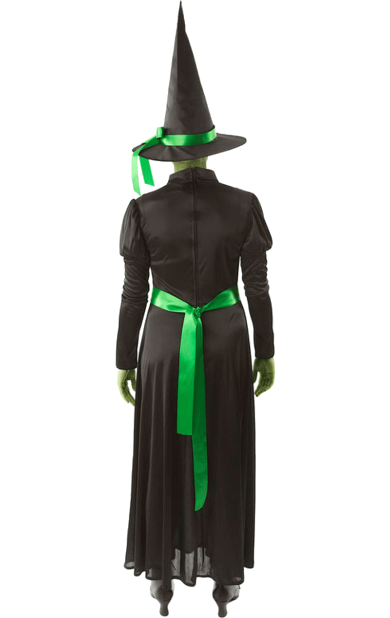 Adult Wicked Witch Halloween Costume