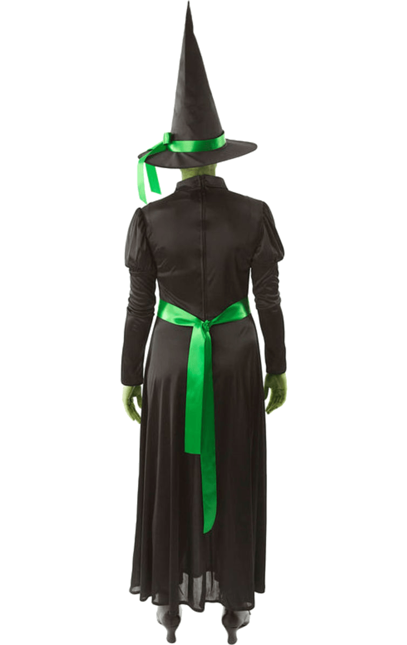 Adult Wicked Green Witch Costume