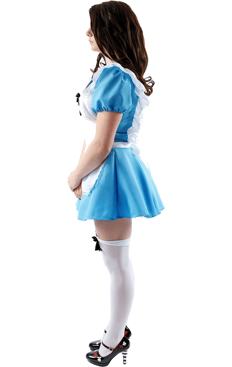 Womens Traditional Alice in Wonderland Costume