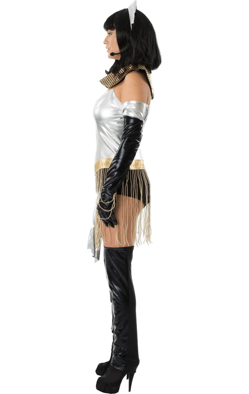 Whitney Houston The Bodyguard Costume
