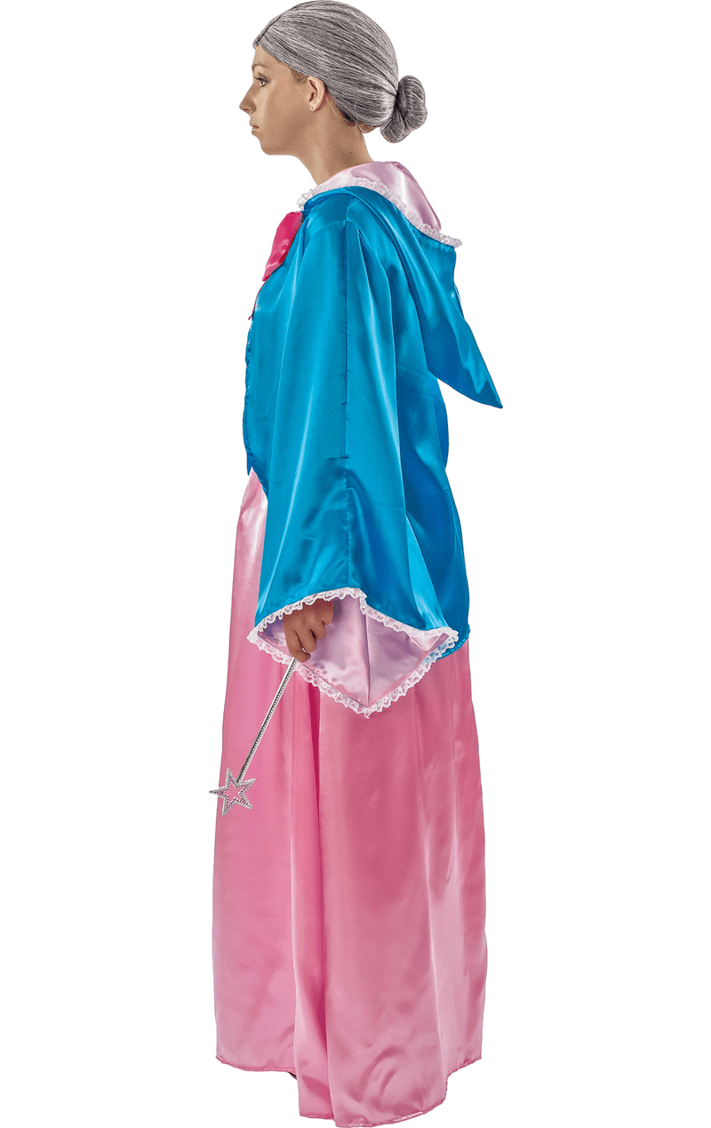 Adult Fairy Godmother Book Day Costume