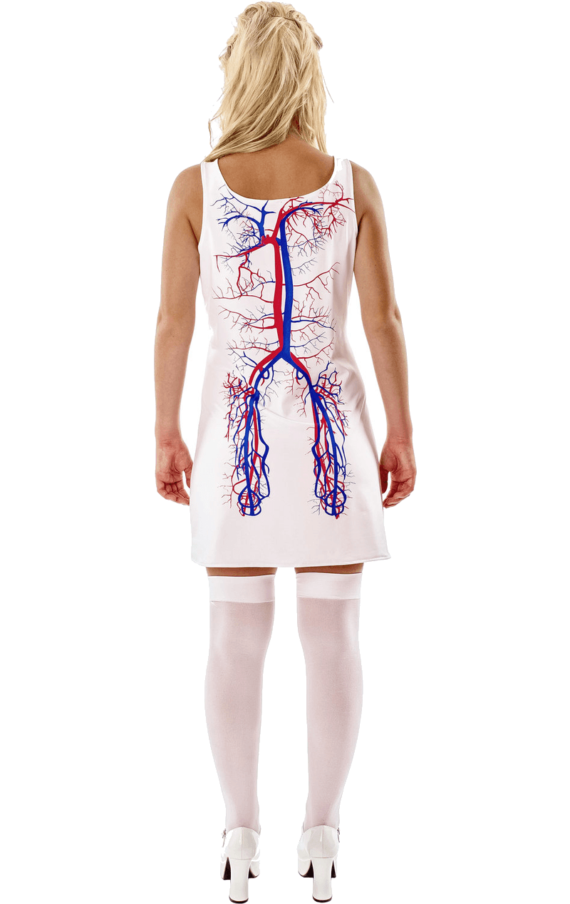 Womens Novelty Artery Dress Costume
