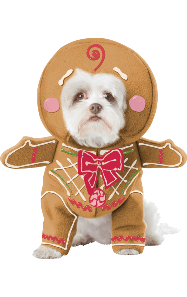 Gingerbread Dog Costume