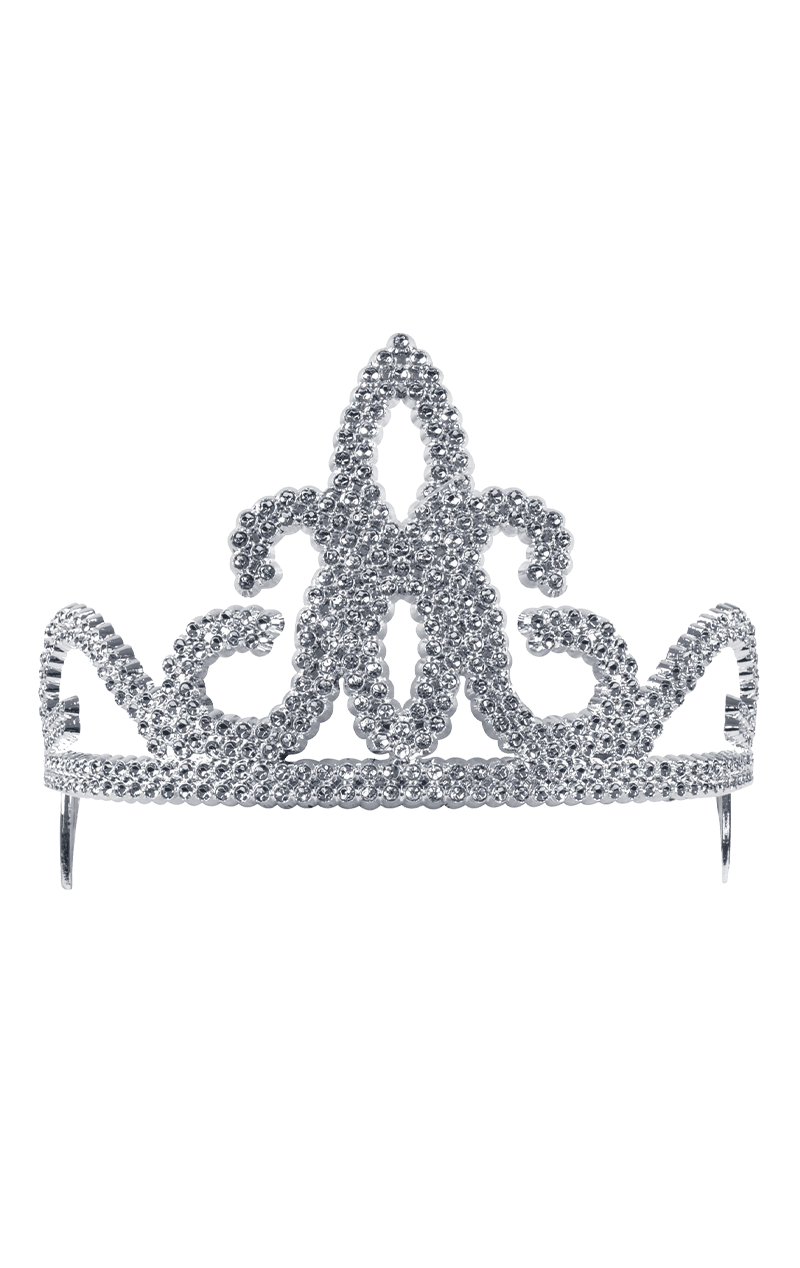 Silver Princess Tiara Accessory