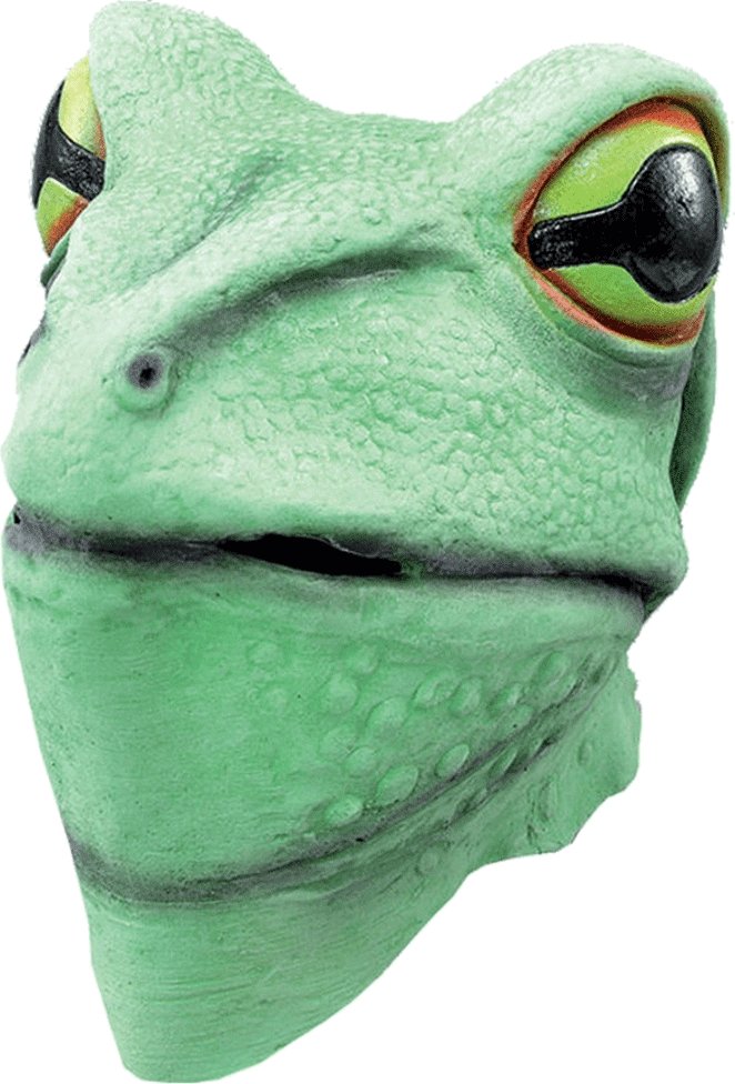 Adult Frog Facepiece - Joke.co.uk