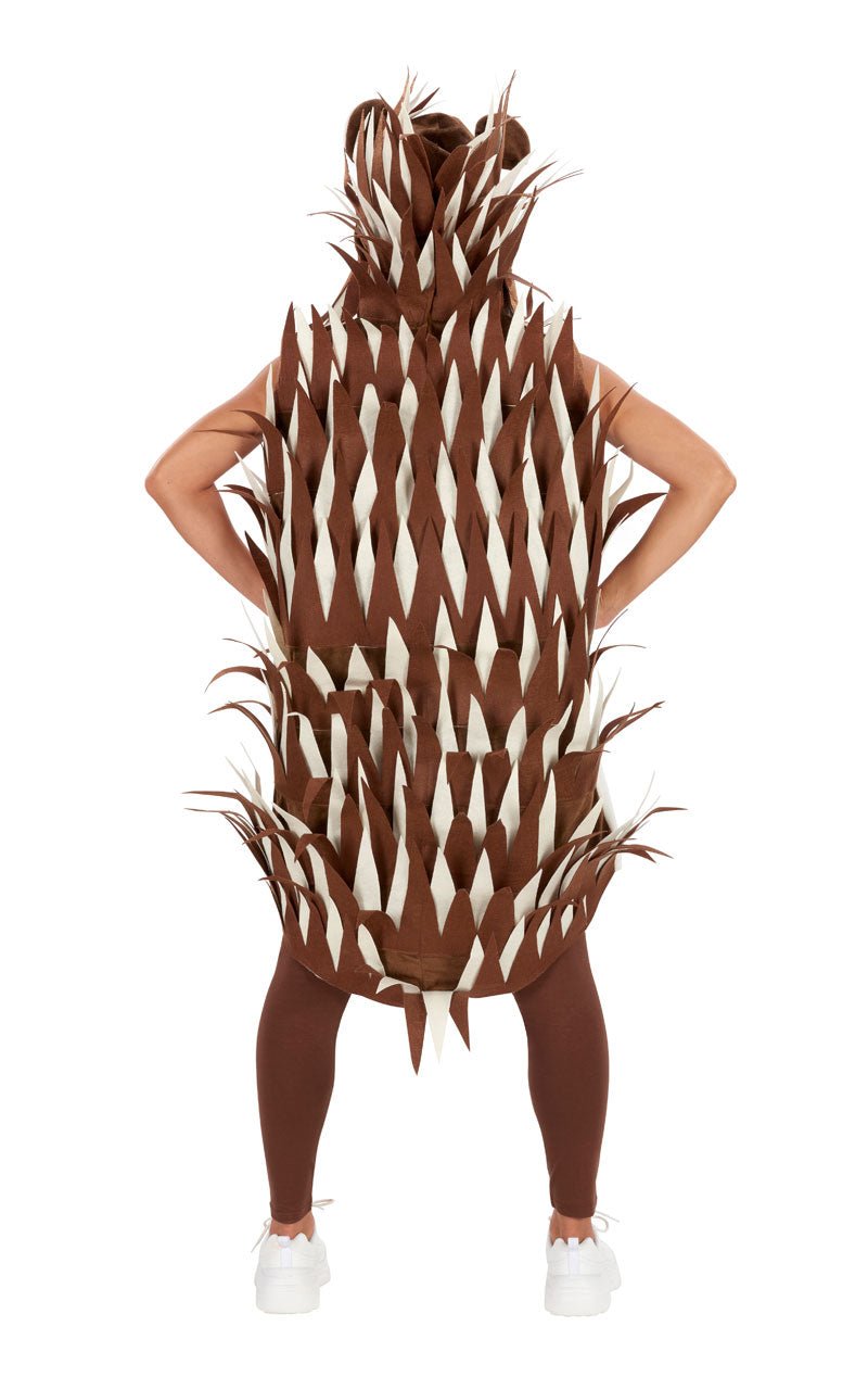 Adult Unisex Hedgehog Costume - Joke.co.uk