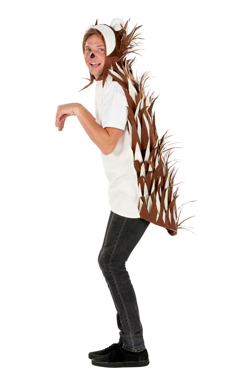 Adult Unisex Hedgehog Costume - Joke.co.uk