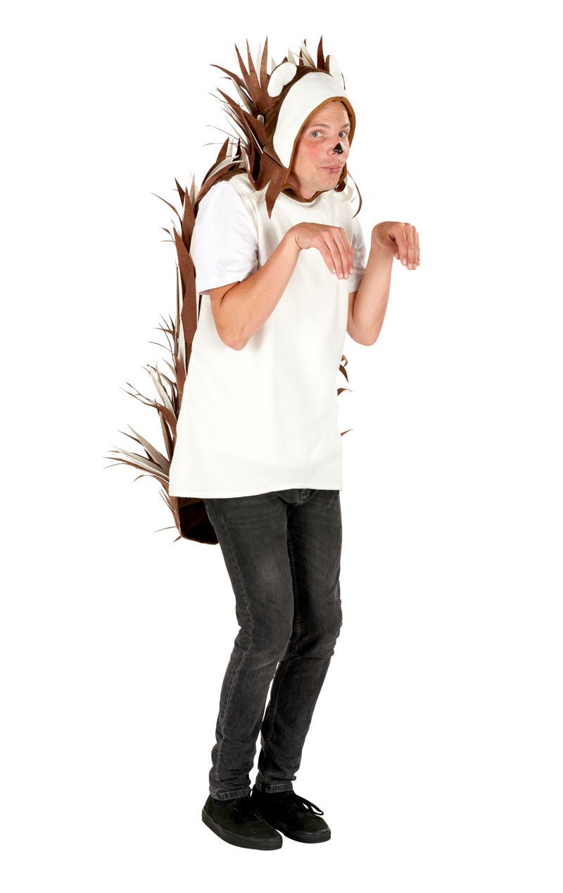 Adult Unisex Hedgehog Costume - Joke.co.uk